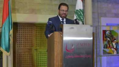 تناغمٌ ساطع بين الضوء والبصر زحلة تنطق جمالا بريشة الفنان مارون مخول